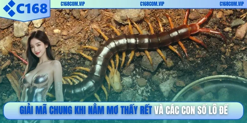 Giải mã chung khi nằm mơ thấy rết và các con số lô đề
