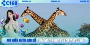 Mơ thấy hươu cao cổ