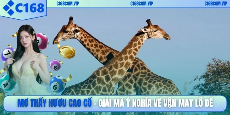 Mơ thấy hươu cao cổ