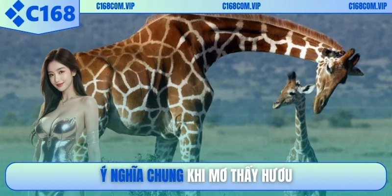 Ý nghĩa chung khi mơ thấy hươu